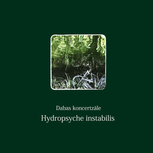 Hydropsyche instabilis