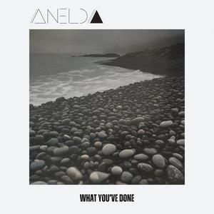 What You've Done (Sean Michael Spence Remix)