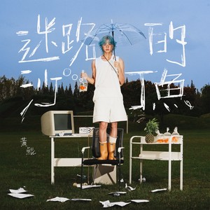 找房子 (Shelter)
