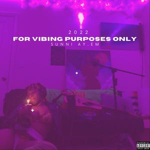 For Vibing Purposes Only (Explicit)