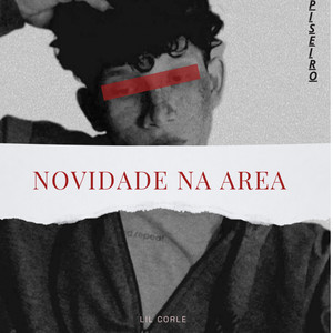 Novidade Na Área (Piseiro)