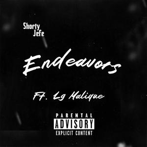 Endeavors (feat. Lg Malique) [Explicit]