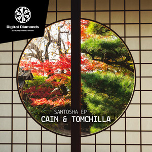 Santosha (Ebony Willis Remix)