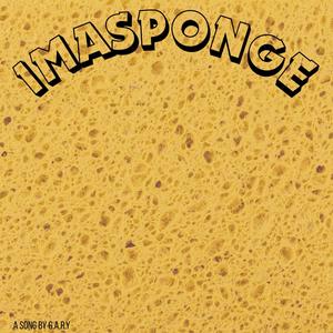 IMASPONGE