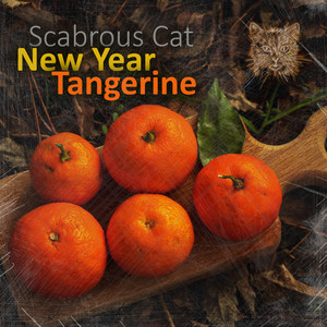 New Year Tangerine (Instrumental Mix)