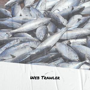 Web Trawler