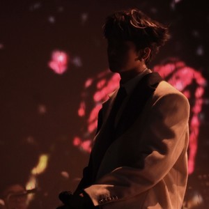 凤凰花开的路口 黄子弘凡