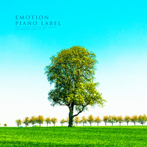 기억 미로 (Memory Maze)