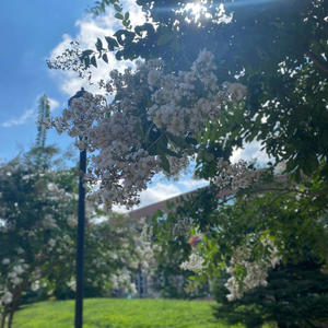 FATAL (sped up) (Explicit)