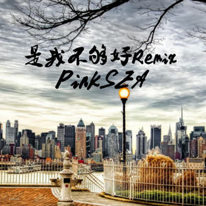 是我不够好Remix
