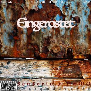 Eingerostet(feat. NEMO) (Explicit)