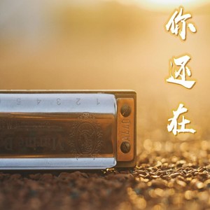 你还在 (伴奏)