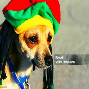 ion evn liek yu (kxnmxn) #tranqmob (Explicit)