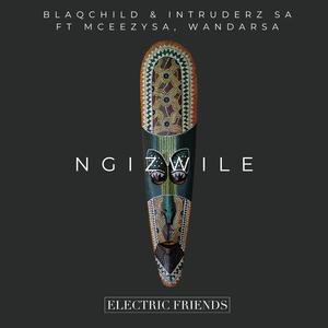 Ngzwile (feat. MceezySA & WandaRSA) (Afro Mix)