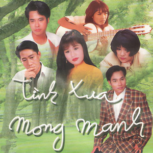 Trên Cánh Sầu Đông