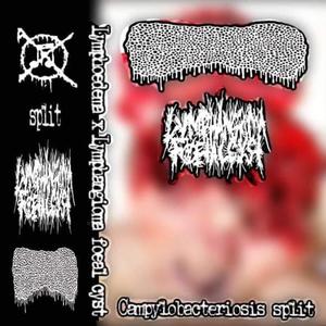 The Rush Of A New Kill