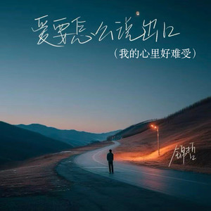 爱要怎么说出口(我的心里好难受)