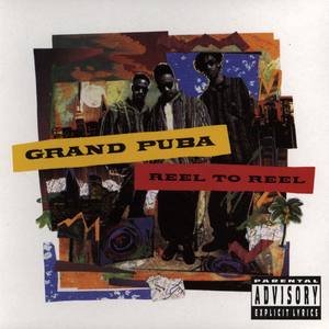 Grand Puba - 360(What Goes Around) (LP版)