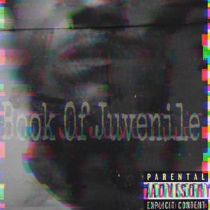 Book of Juvenile (Explicit)