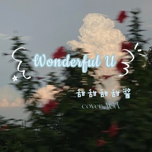 Wonderful U