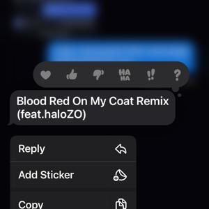 Blood Red On My Coat (rmx) [Explicit]