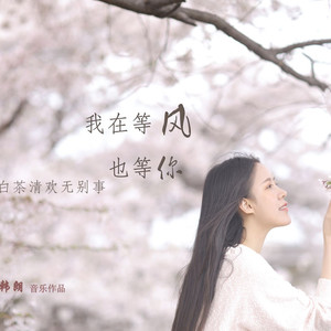 我在等风也等你