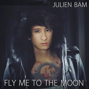 Fly me to the moon