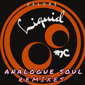 Analogue Soul (feat. Rogue FX) (Future Analog Remix)