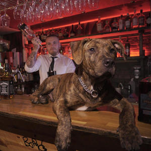 Bartender (Explicit)