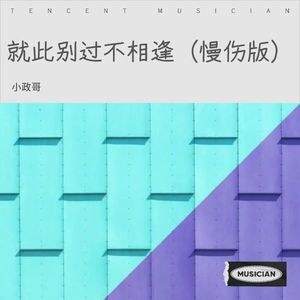 就此别过不相逢 (慢伤版)