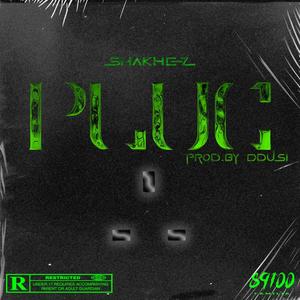 PLUG (feat. Ddusi) [Explicit]