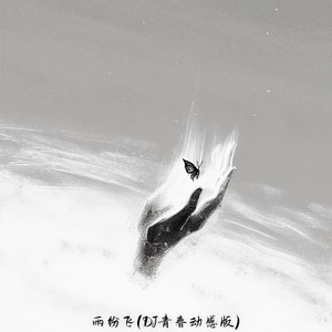 雨纷飞 (Dj青春动感版)封面