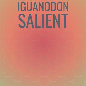 Iguanodon Salient