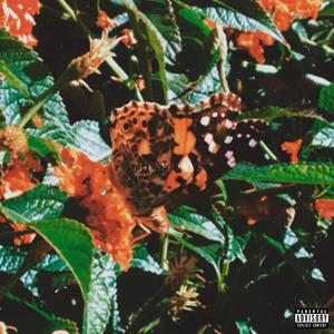 THESE DAYS (Explicit)