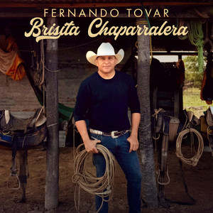 Brisita Chaparralera