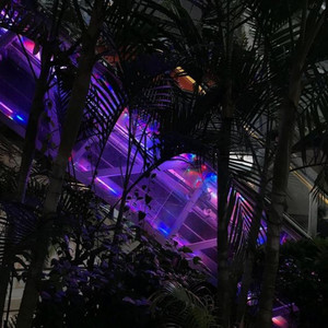 Everywhere I Go (Explicit)