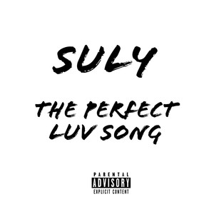 The Perfect Luv Song (Explicit)