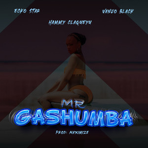 Mr Gashumba