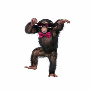 adventure of a lifetime