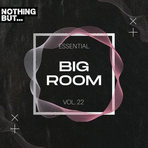 Nothing But... Essential Big Room, Vol. 22 (Explicit)