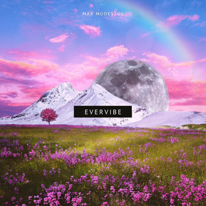 Evervibe