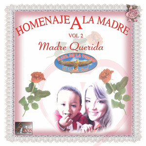 Homenaje A La Madre, Vol. 2