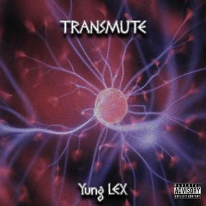 TRANSMUTE (Explicit)