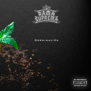 Rama Sinfinity Travel