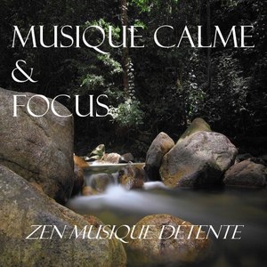 Musique Calme & Focus