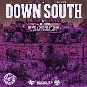 Down South (Slowed & Chopped)