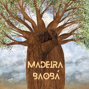 Madeira Baobá