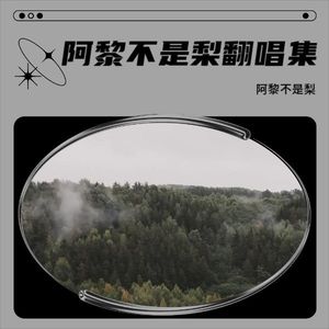 怕你为自己流泪 (Live)封面