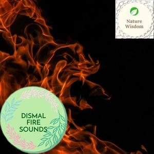 Dismal Fire Sounds