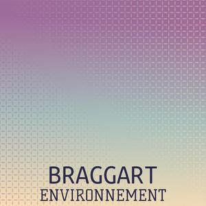 Braggart Environnement